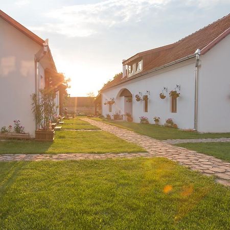 Pensiunea Casa Canda Salasu de Sus Extérieur photo