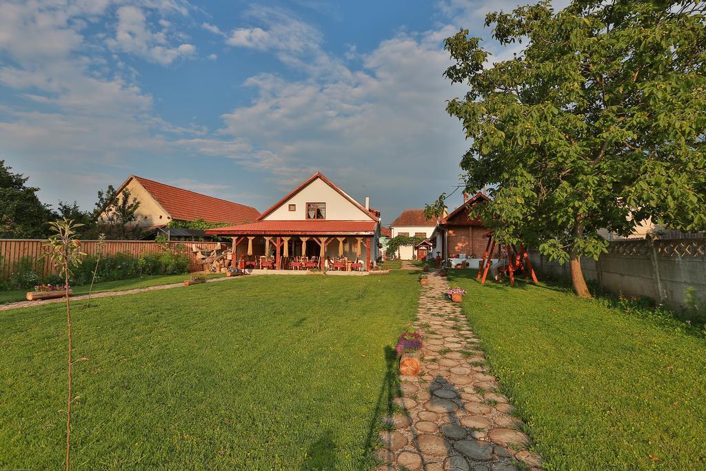 Pensiunea Casa Canda Salasu de Sus Extérieur photo